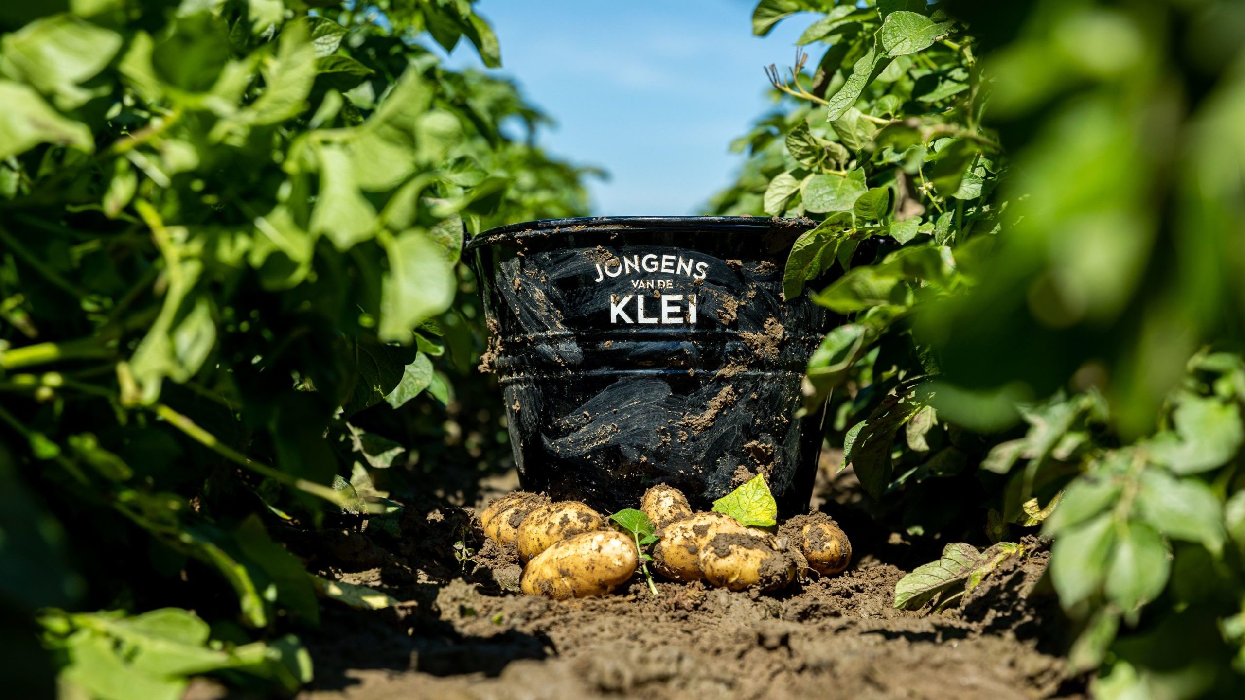 Van de klei Jongens van de Klei